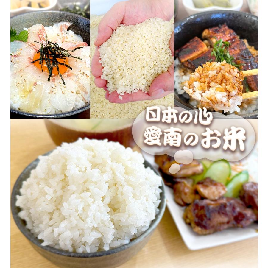 愛媛県 愛南町産 コシヒカリ 令和7年産 新米 愛南米 玄米30kg