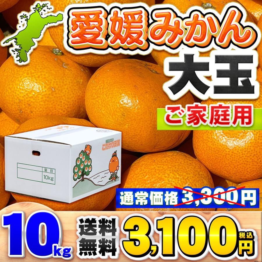 訳あり 愛媛みかん 大玉サイズ 10kg 家庭用 送料無料 : 愛媛みかんの