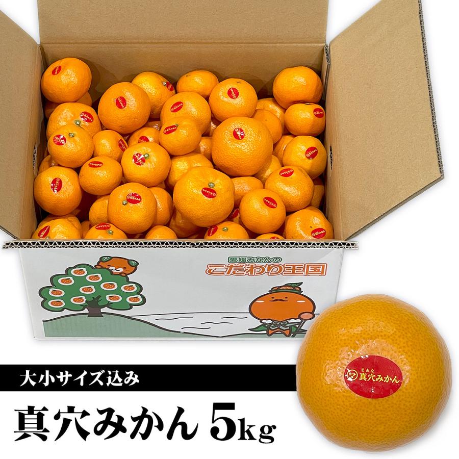 愛媛県産 真穴みかん 大小サイズ込み 5kg ご家庭用 訳あり 送料無料