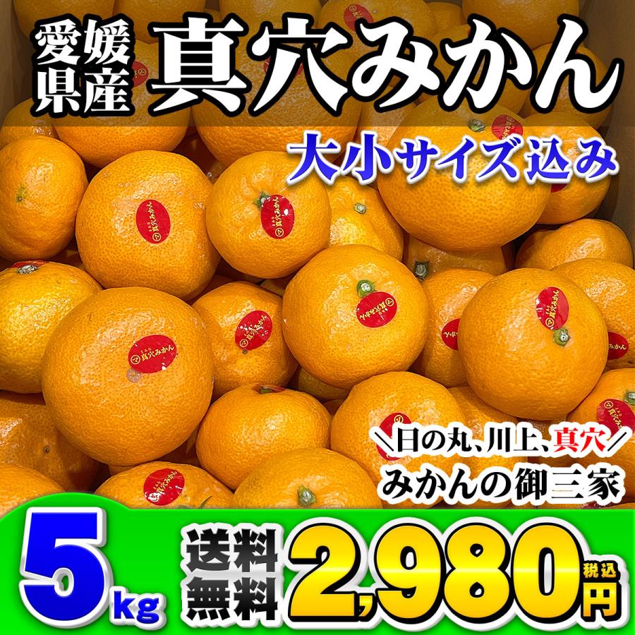 愛媛県産 真穴みかん 大小サイズ込み 5kg ご家庭用 訳あり 送料無料