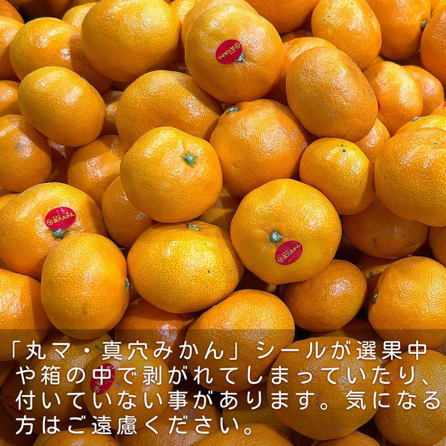 愛媛県産 真穴みかん 大小サイズ込み 5kg ご家庭用 訳あり 送料無料