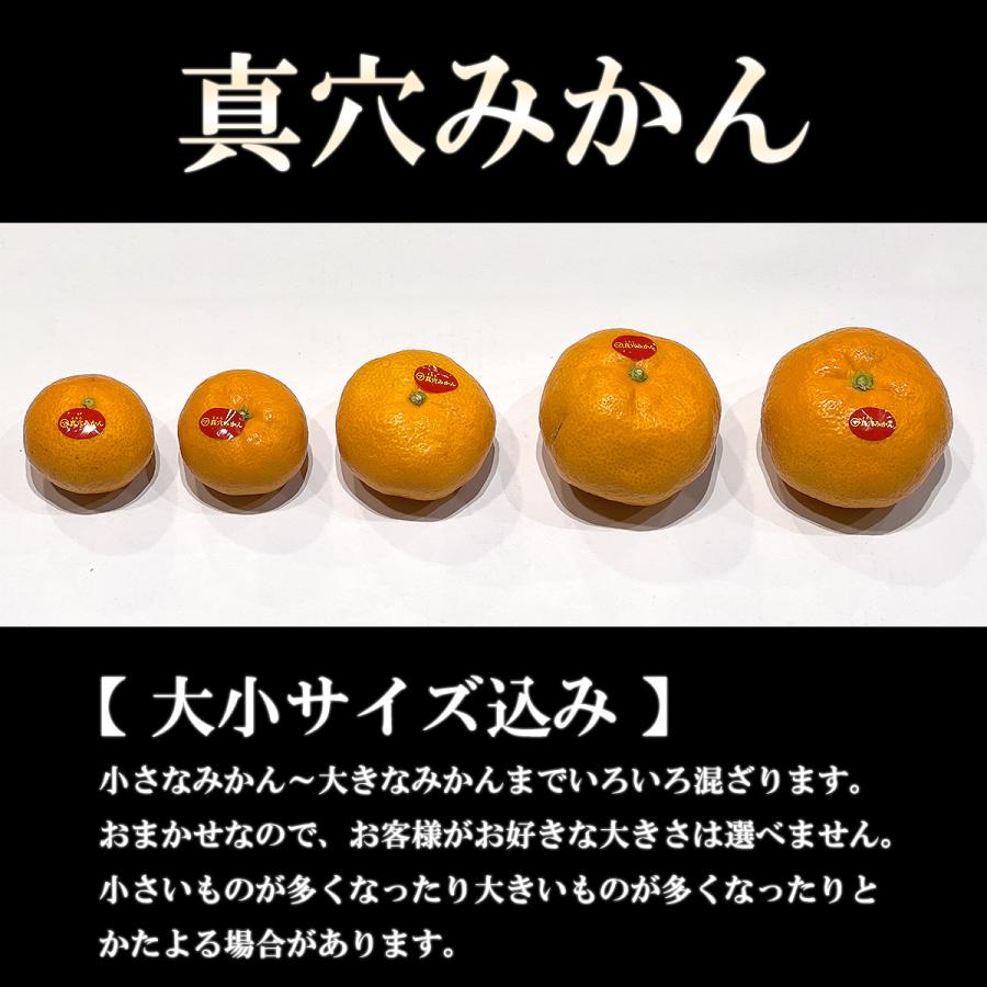愛媛県産 真穴みかん 大小サイズ込み 5kg ご家庭用 訳あり 送料無料