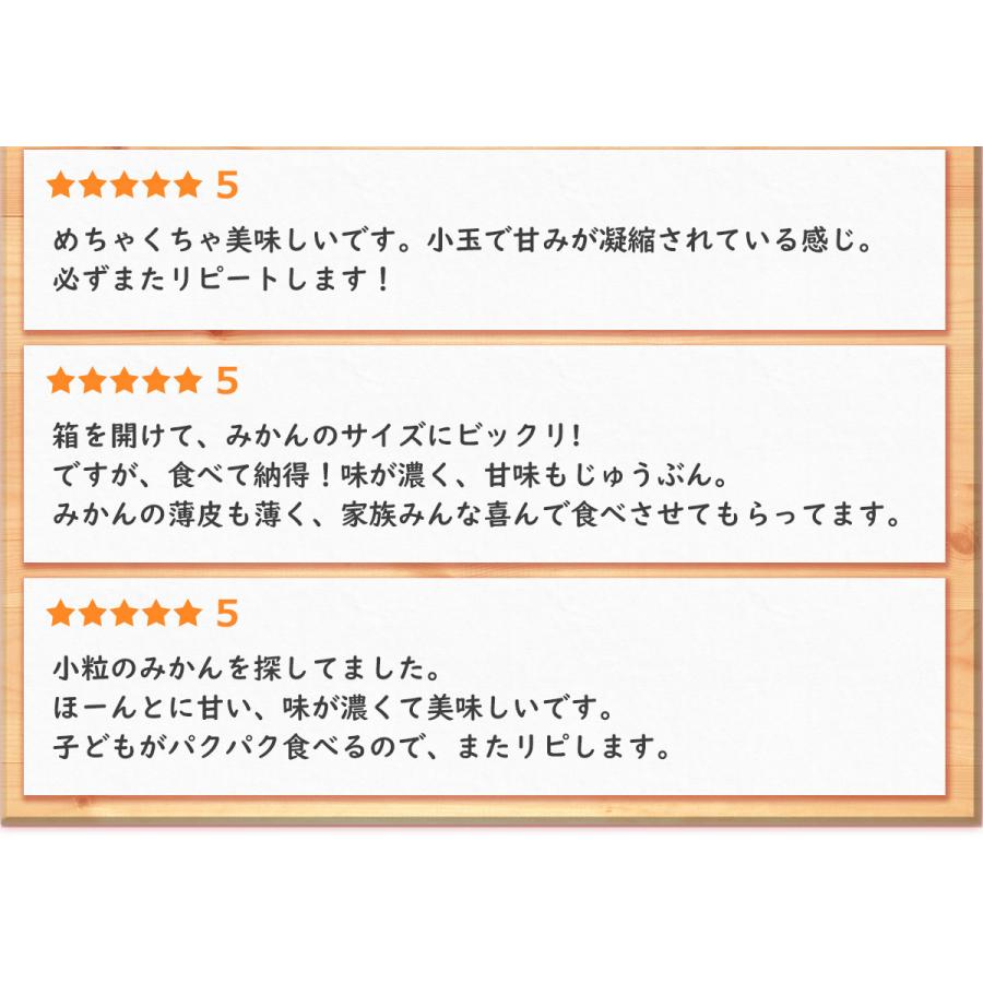 愛媛県産 小玉 みかん こまちゃん 10kg 家庭用 自宅用 訳あり 愛媛みかん 送料無料 プチ 小粒 箱買い 蜜柑 温州 早生 南柑20号 10キロ |  | 10