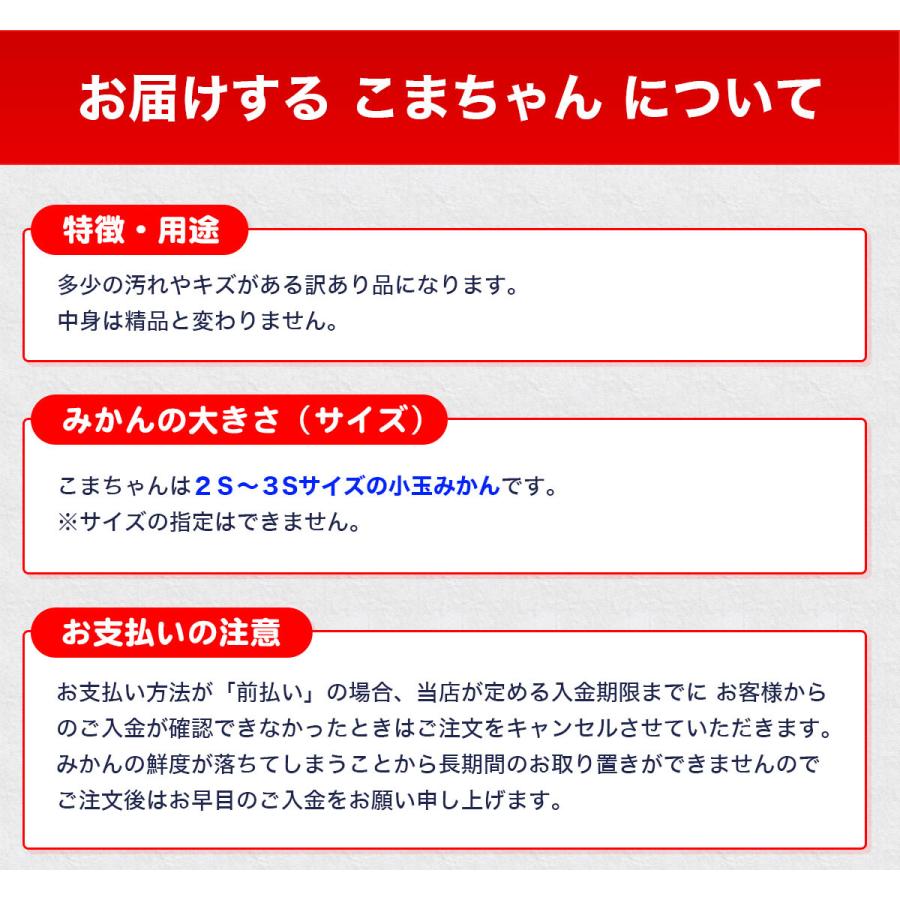 愛媛県産 小玉 みかん こまちゃん 10kg 家庭用 自宅用 訳あり 愛媛みかん 送料無料 プチ 小粒 箱買い 蜜柑 温州 早生 南柑20号 10キロ |  | 11
