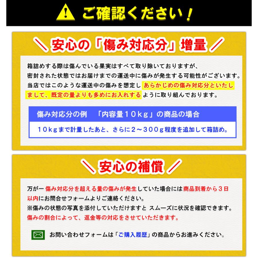 愛媛県産 小玉 みかん こまちゃん 10kg 家庭用 自宅用 訳あり 愛媛みかん 送料無料 プチ 小粒 箱買い 蜜柑 温州 早生 南柑20号 10キロ |  | 13