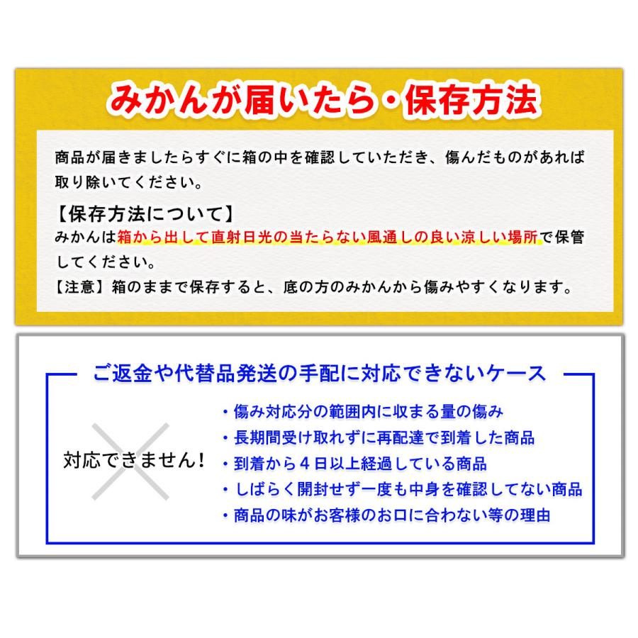 リピートNo.1 はるみ小玉果10kg - 果物