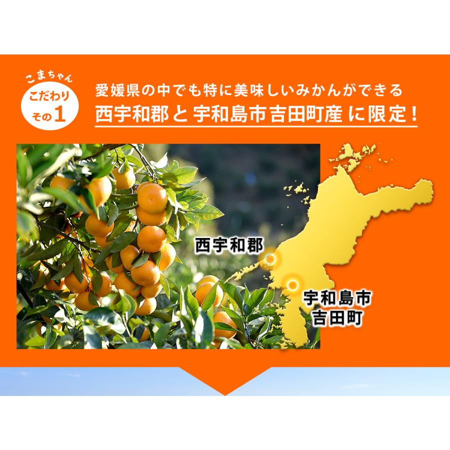 愛媛県産 小玉 みかん こまちゃん 10kg 家庭用 自宅用 訳あり 愛媛
