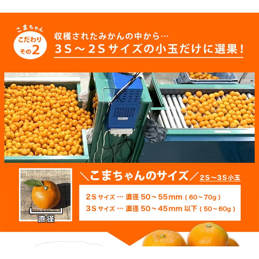 愛媛県産 小玉 みかん こまちゃん 10kg 家庭用 自宅用 訳あり 愛媛