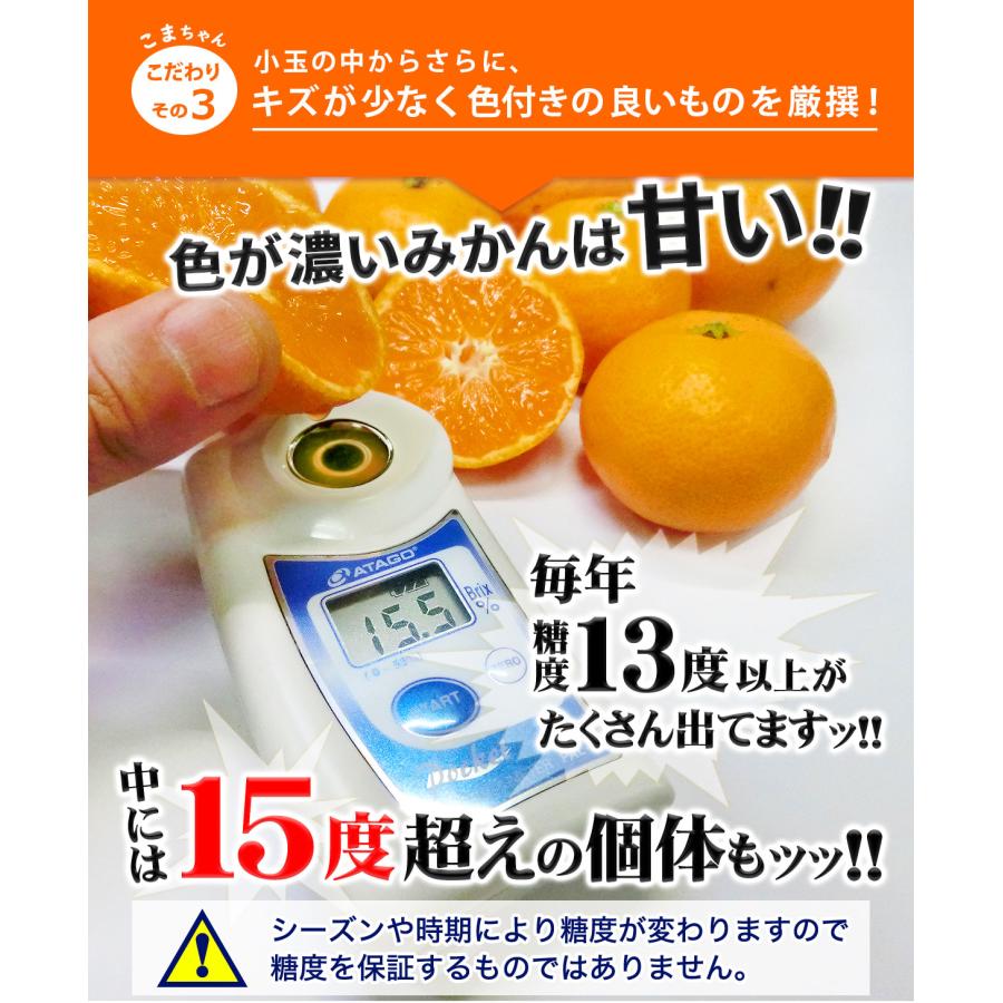 愛媛県産 小玉 みかん こまちゃん 10kg 家庭用 自宅用 訳あり 愛媛みかん 送料無料 プチ 小粒 箱買い 蜜柑 温州 早生 南柑20号 10キロ |  | 08