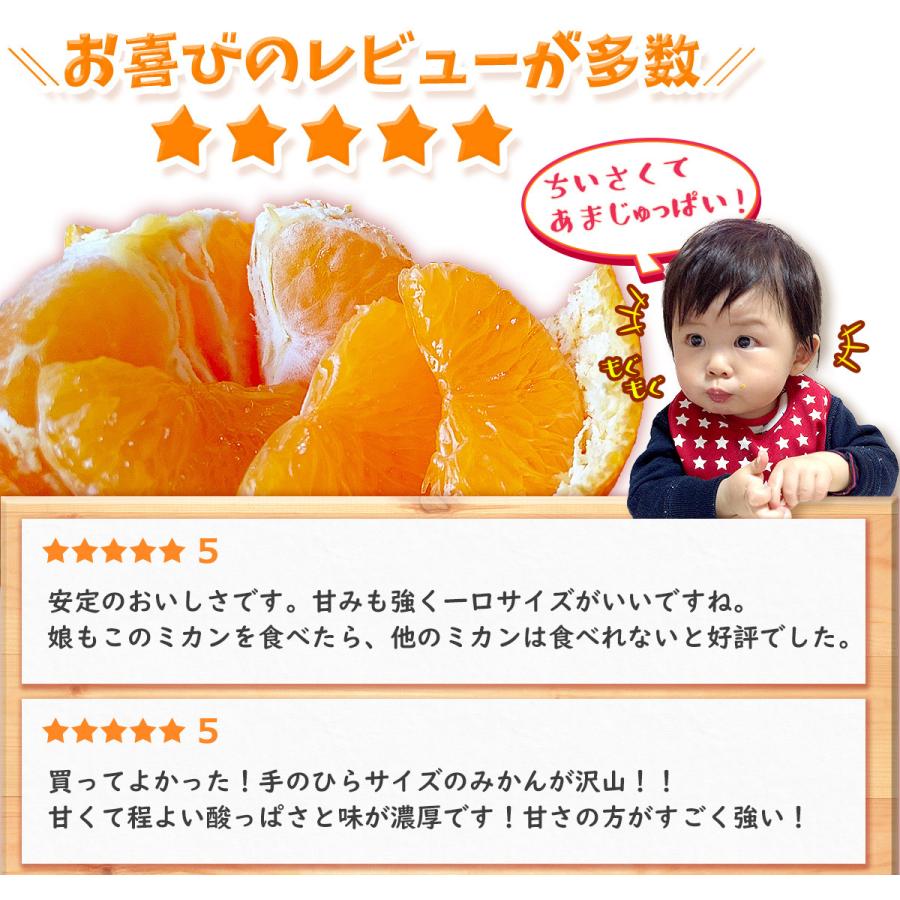 愛媛県産 小玉 みかん こまちゃん 10kg 家庭用 自宅用 訳あり 愛媛