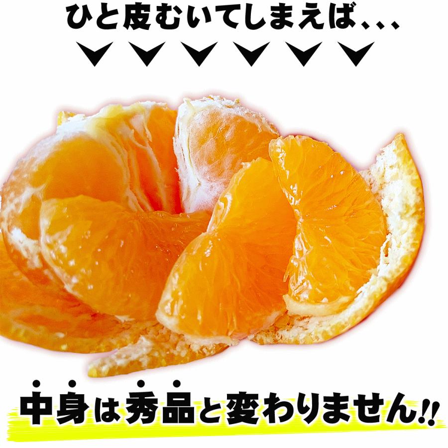 愛媛県産 小玉 みかん こまちゃん 5kg 家庭用 自宅用 訳あり 愛媛みかん 送料無料 プチ 小粒 箱買い 蜜柑 温州 早生 南柑 20号 5キロ :UW-puti-5:愛媛みかんの こだわり王国 - 通販 - Yahoo!ショッピング 愛媛県産 小玉 みかん こまちゃん 5kg 家庭用 自宅用 訳あり 愛媛みかん 送料無料 プチ 小粒 箱買い 蜜柑 温州 早生 南柑 20号 5キロ :UW-puti-5:愛媛みかんの こだわり王国 - 通販 - Yahoo!ショッピング