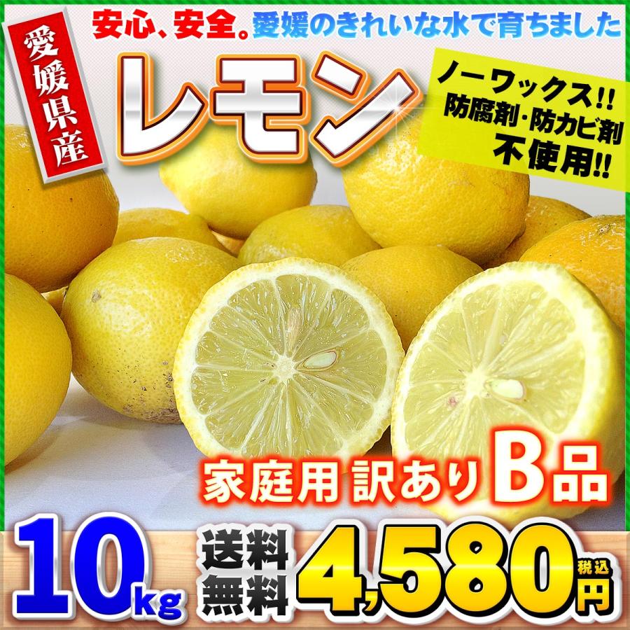 レモン　訳あり　B品 10キロ 愛媛県産 訳あり レモン B品 10kg ご家庭用 10kg 箱買い サイズ