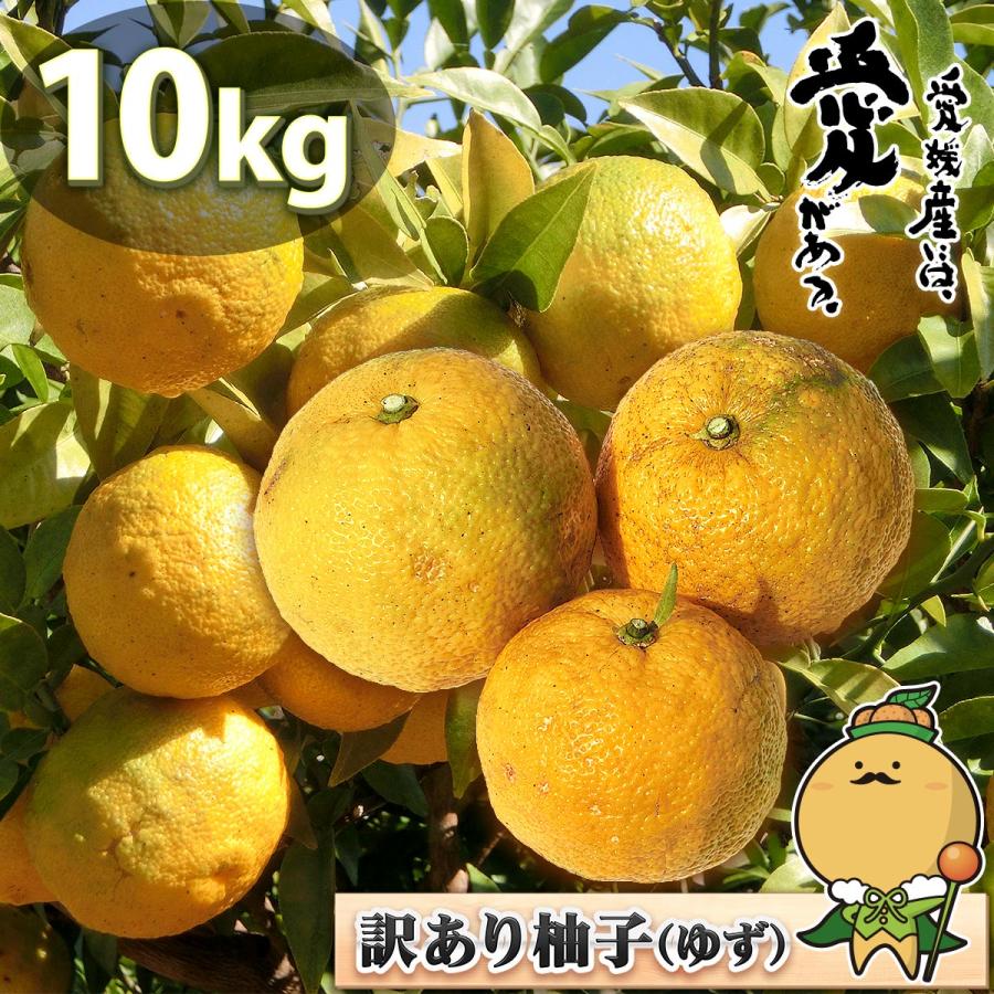 愛媛県産 柚子 10kg 家庭用 訳あり サイズ おまかせ 混合 送料 愛媛県産 柚子 10kg 家庭用 訳あり サイズ おまかせ 混合 送料
