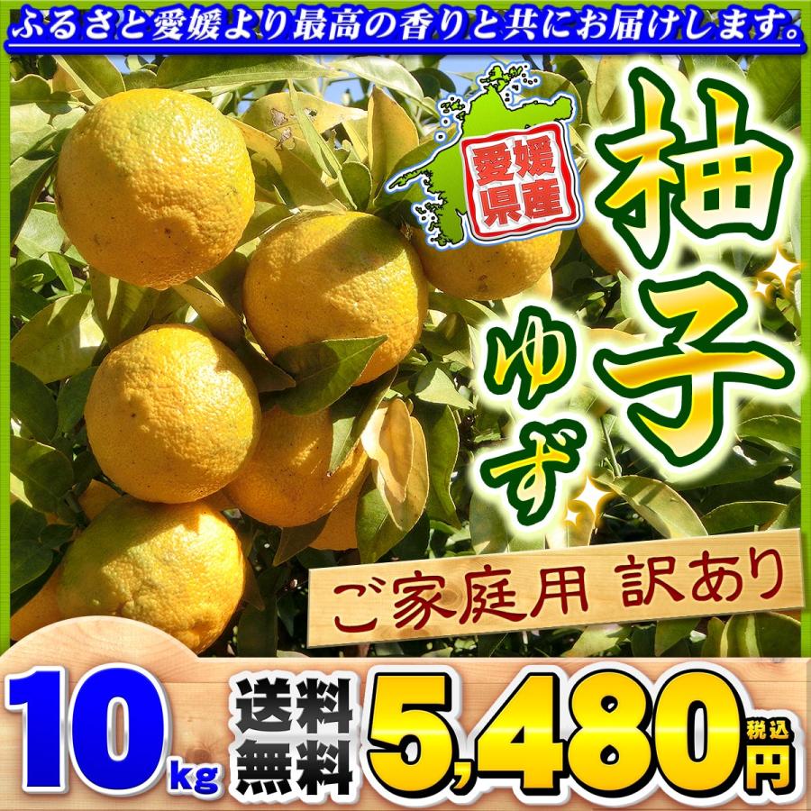 愛媛県産 柚子 10kg 家庭用 訳あり サイズ おまかせ 混合 送料 愛媛県産 柚子 10kg 家庭用 訳あり サイズ おまかせ 混合 送料