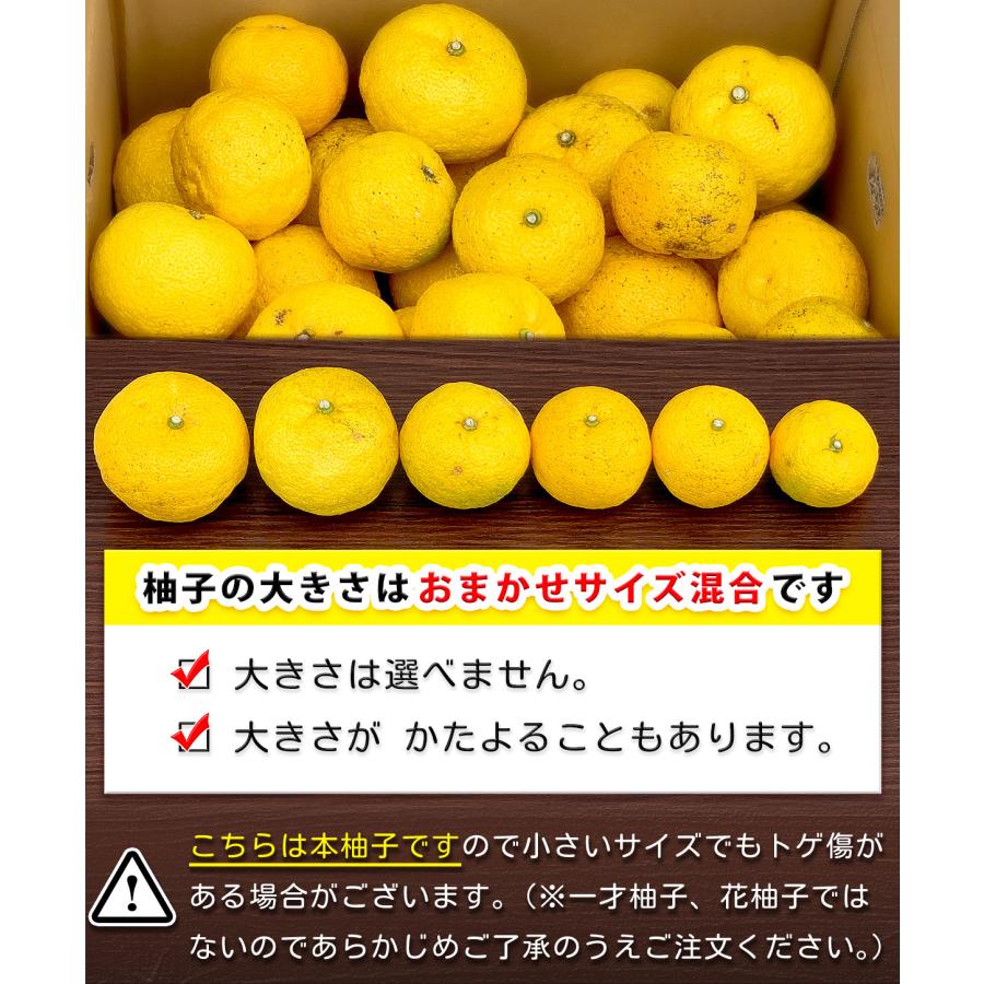 愛媛県産 柚子 3kg 家庭用 訳あり サイズ おまかせ 混合 送料無料 箱