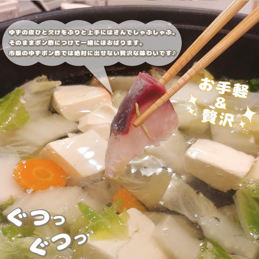 愛媛県産 柚子 5kg 家庭用 訳あり サイズ おまかせ 混合 送料 愛媛県産 柚子 5kg 家庭用 訳あり サイズ おまかせ 混合 送料