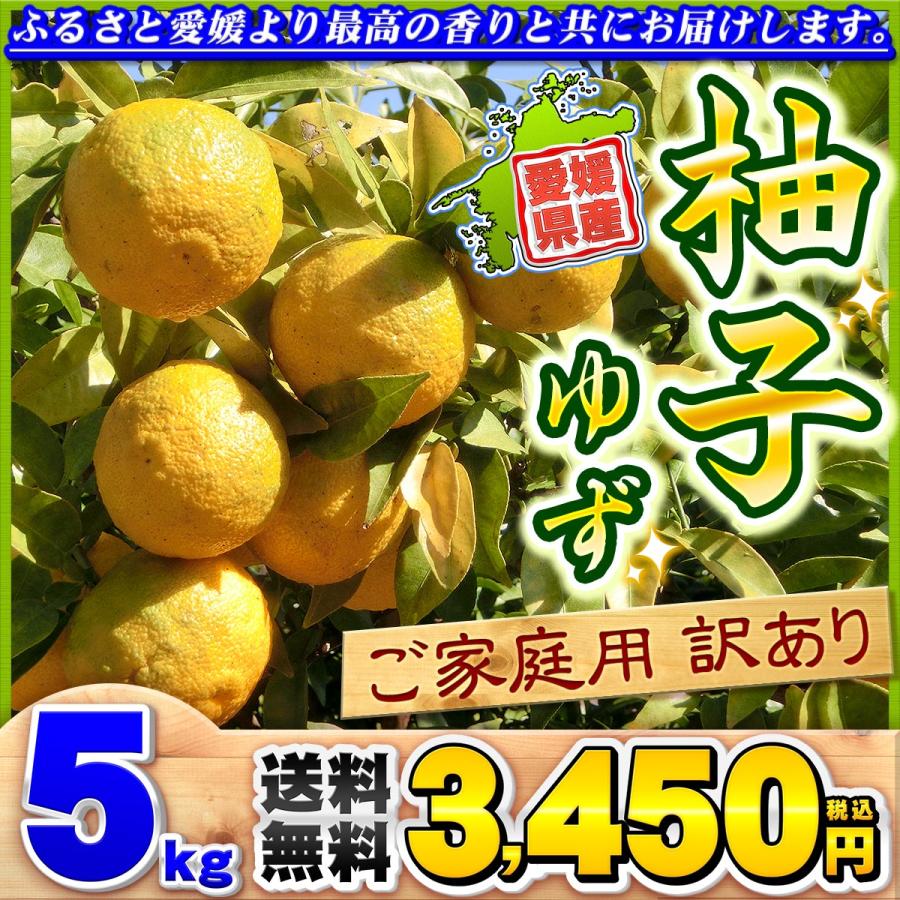 愛媛県産 柚子 5kg 家庭用 訳あり サイズ おまかせ 混合 送料無料 箱
