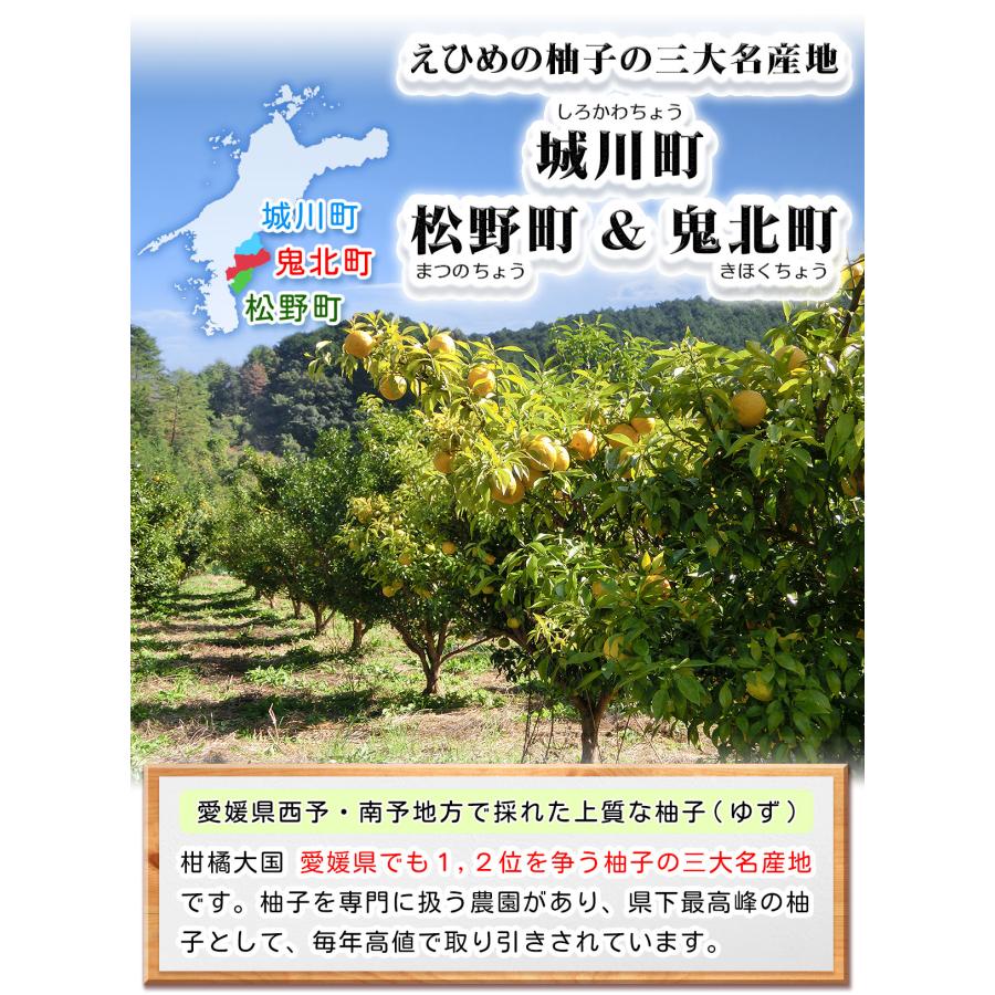 愛媛県産 柚子 5kg 家庭用 訳あり サイズ おまかせ 混合 送料 愛媛県産 柚子 5kg 家庭用 訳あり サイズ おまかせ 混合 送料