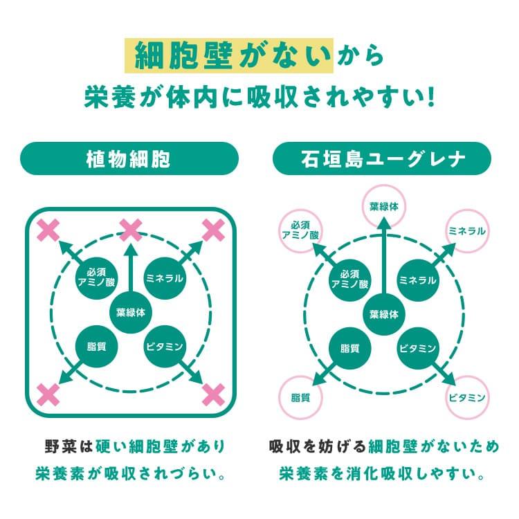 ユーグレナ 【公式】 からだにユーグレナ グリーンパウダー 30本入 2箱