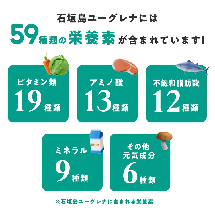 【公式】 からだにユーグレナ グリーンパウダー 乳酸菌 30本入 ユーグレナ サプリメント 緑汁 ミドリムシ サプリ 青汁 乳酸菌飲料｜euglena-farm｜12