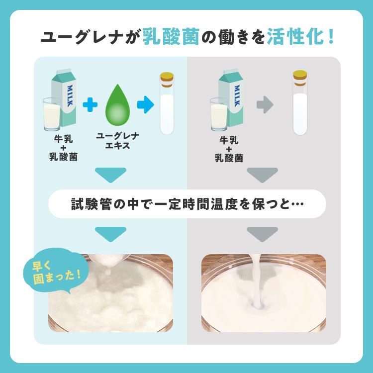 ユーグレナ 【公式】からだにユーグレナ グリーンパウダー 乳酸菌 30本