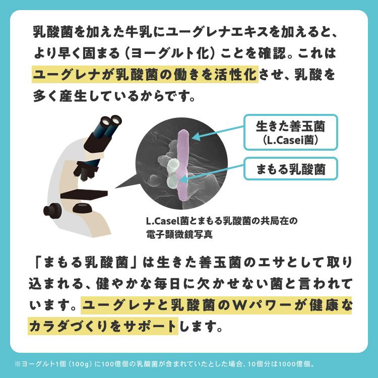ユーグレナ 【公式】からだにユーグレナ グリーンパウダー 乳酸菌 30本