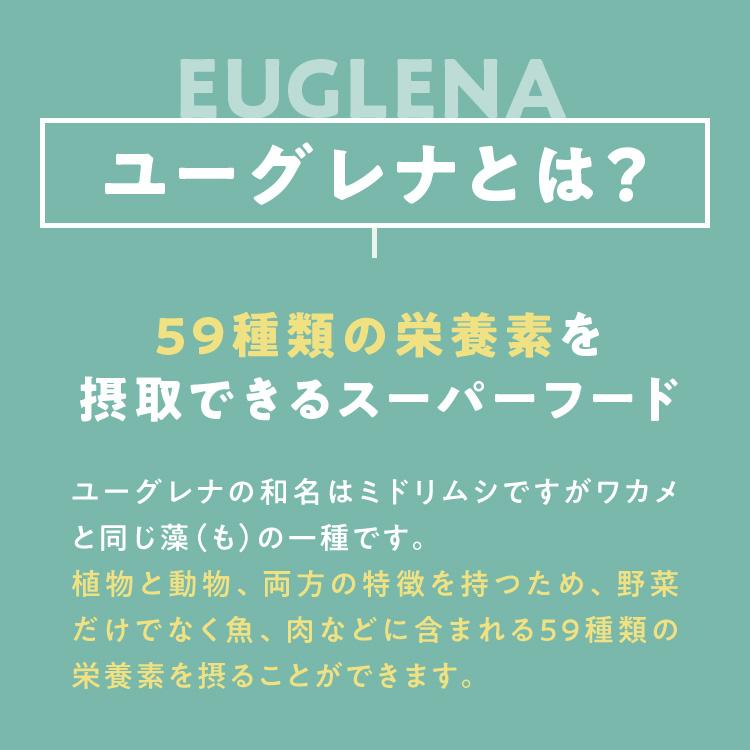 ユーグレナ 【公式】からだにユーグレナ グリーンパウダー 乳酸菌 30本