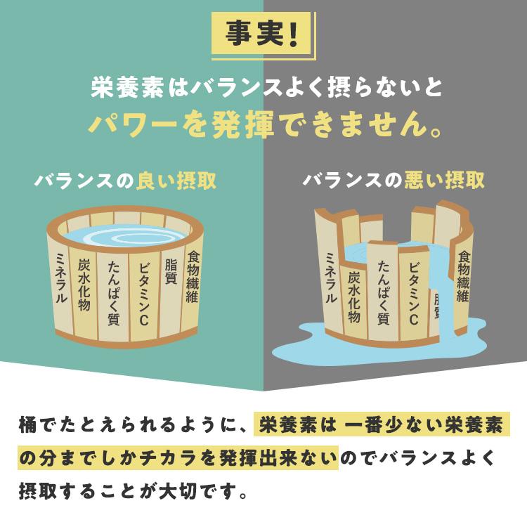 ユーグレナ 【公式】からだにユーグレナ グリーンパウダー 乳酸菌 30本