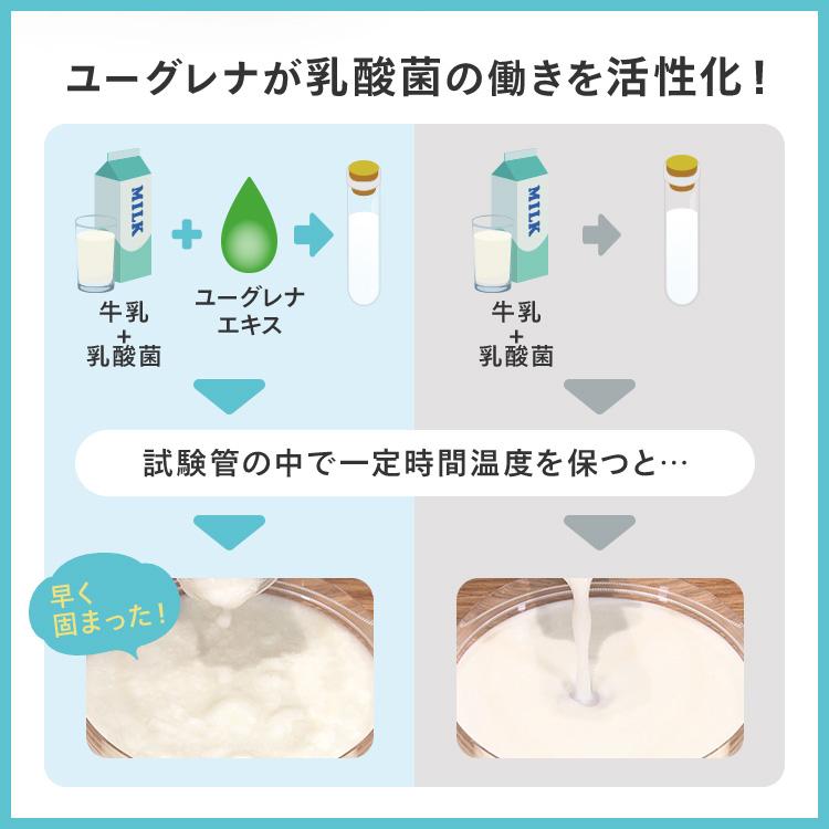 ユーグレナ 【公式】 からだにユーグレナ グリーンタブレット 乳酸菌