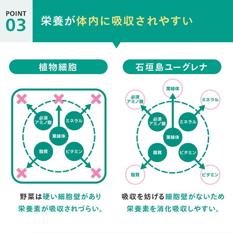 ユーグレナ 【公式】 からだにユーグレナ グリーンタブレット 乳酸菌