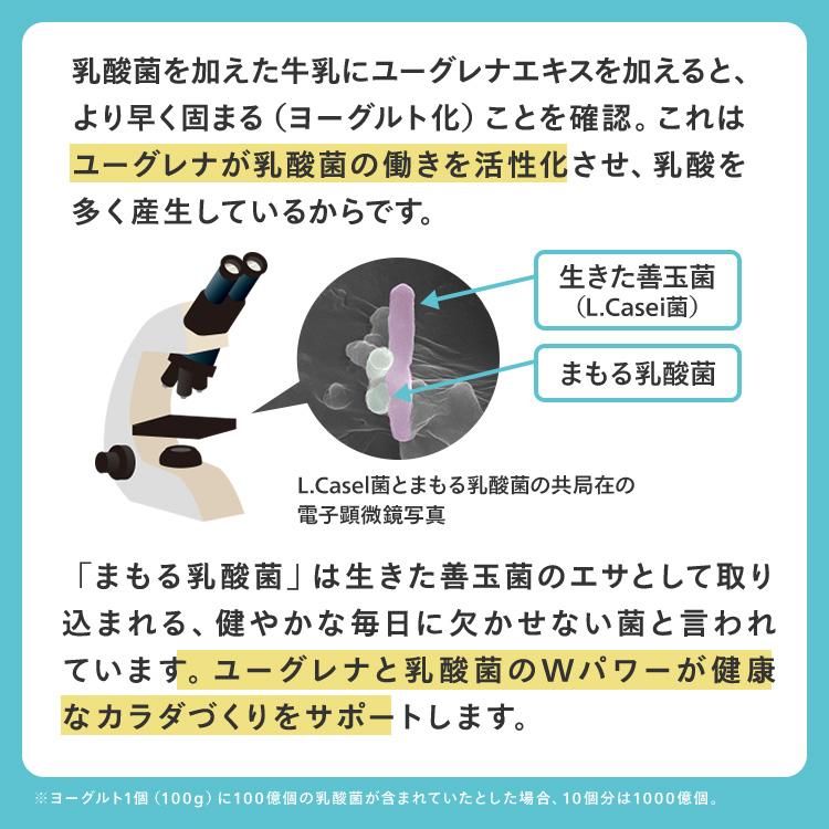 ユーグレナ 【公式】 からだにユーグレナ グリーンスムージー 乳酸菌