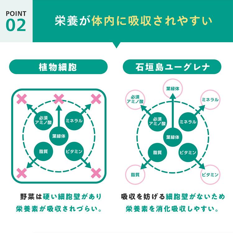 ユーグレナ 【公式】【2袋セット】からだにユーグレナ 睡眠・疲労感