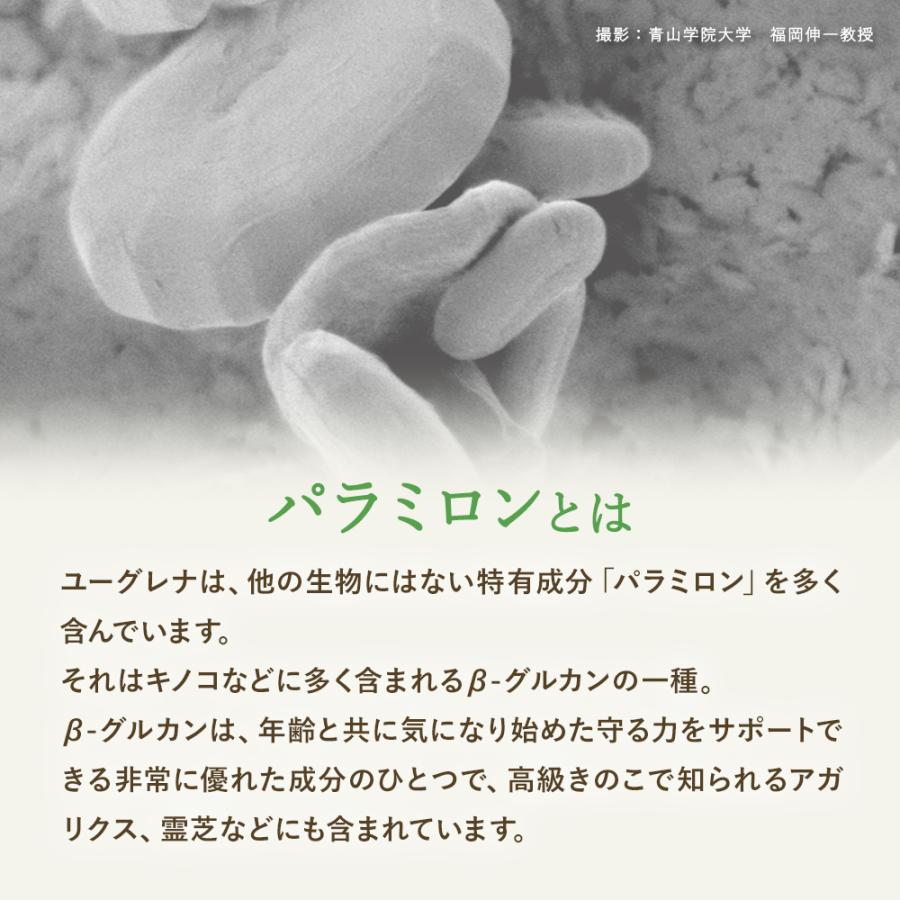 ユーグレナ パラミロン1000 120粒入り | ミドリムシ サプリ