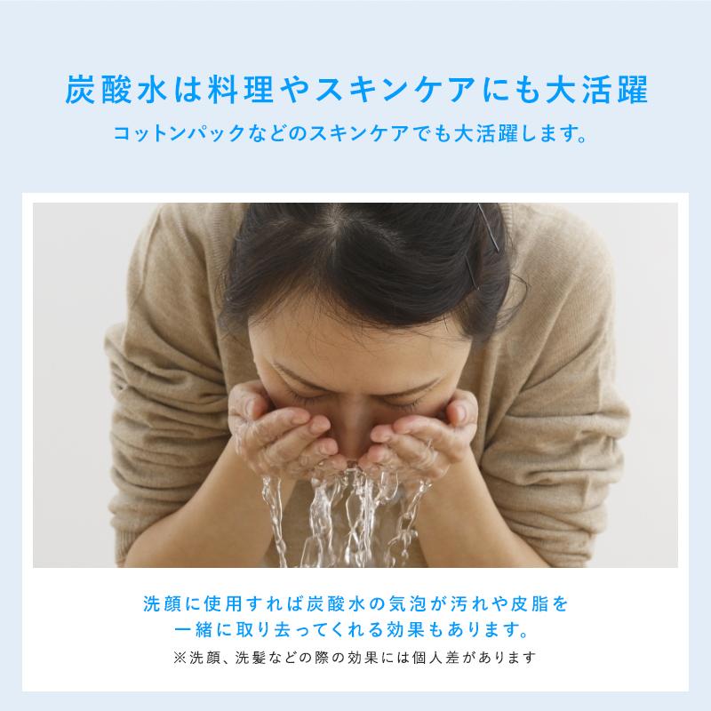 HOSHIZAKI 炭酸水メーカー 圧力計付き 2019年製 s560_03.jpg