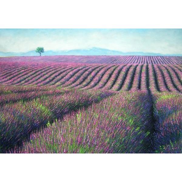 油絵 南仏のラベンダー畑 MA1436 : 絵画制作専門ユーラシアアート