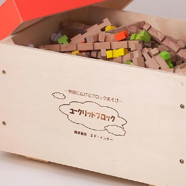 エドインター　ユークリッドブロック　600ピース Ed.inter エドインター］ユークリッドブロック 600pcs 保育園 幼稚園