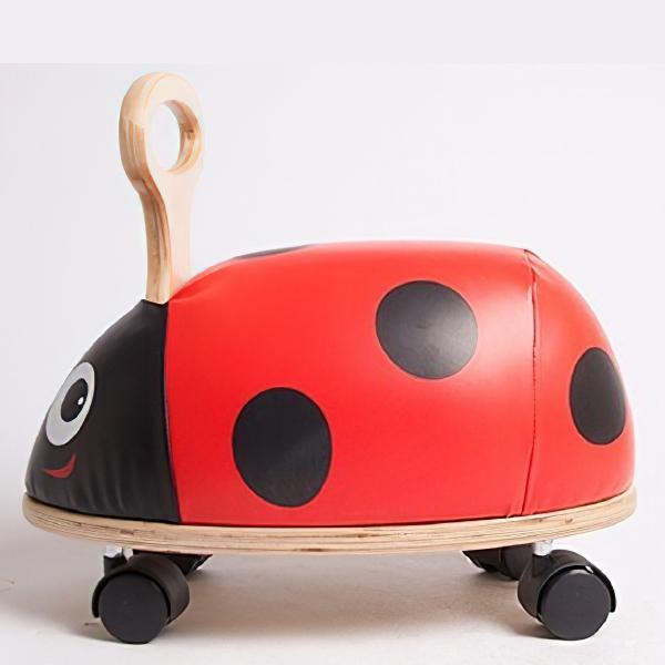 Skipper スキッパー ライドアンドロール レディーバード 名入れセット ~ 出産祝い、ハーフバースデイ、1歳・2歳の誕生日の画像