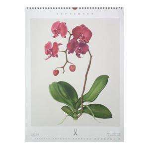 マイセンカレンダー2024年】絵付け見本等に人気 アウトレット1点