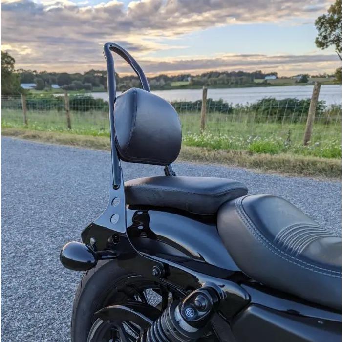 HOGWORKZ デタッチャブルシーシーバー (ドッキングキット付) ブラック 