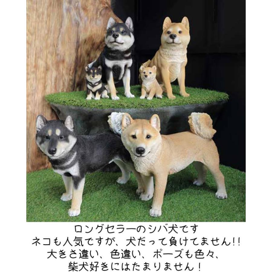 赤柴こども ドッグオーナメント 犬 リアル レジン オブジェ インテリア小物 贈り物 インスタ映え 紅石 べニーズキャット Benny S 送料無料 Ben Dog 04 ユーロハウス 輸入家具インテリア 通販 Yahoo ショッピング