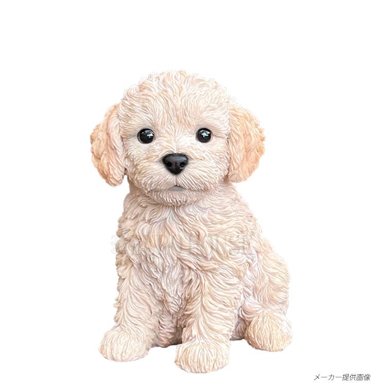 オーナメント ラブラドゥードル 子犬 インテリア 犬 置物 ガーデン