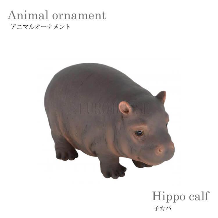 21261892_1