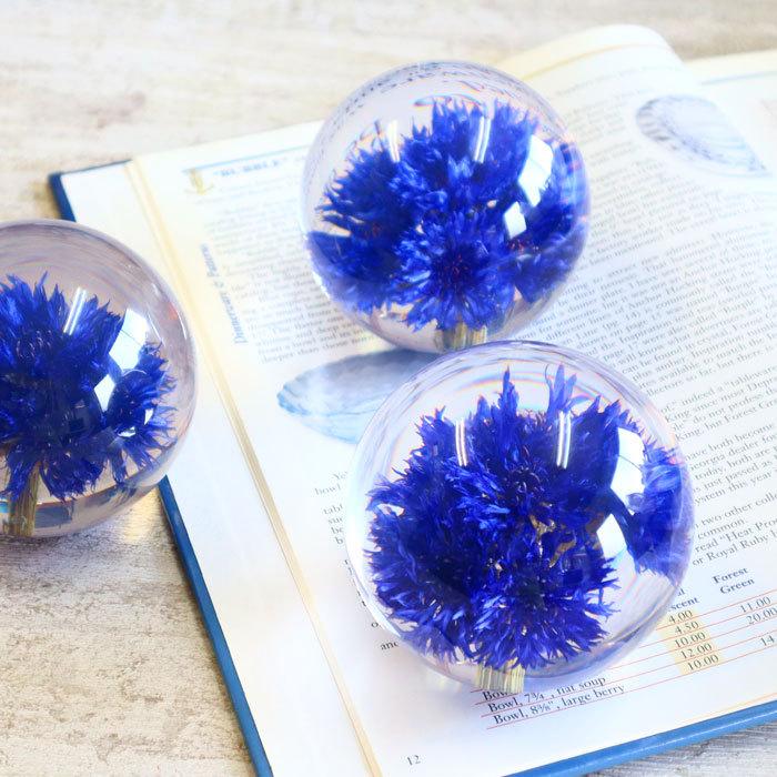 ハフォドグレンジhafodgrange 花文鎮フラワーペーパーウエイト Lサイズ コーンフラワー 矢車草 矢車菊 Hg14l Hfginthg14l ユーロキッチンかさい ヤフー店 通販 Yahoo ショッピング