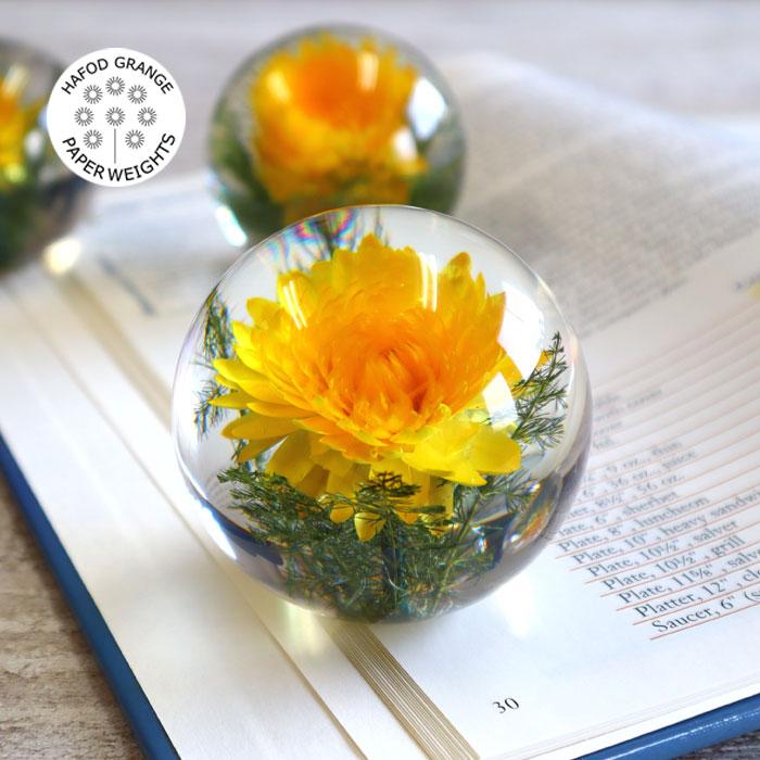 ハフォドグレンジhafodgrange 花文鎮フラワーペーパーウエイト S ヘリクリサム 帝王貝細工 Hg17ys Hfginthg17ys ユーロキッチンかさい ヤフー店 通販 Yahoo ショッピング