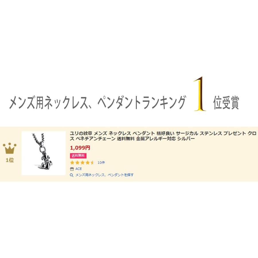 ネックレス メンズ メンズネックレス ペンダント 百合の紋章 シルバー チェーン 銀 ステンレス 金属アレルギー 紋章 送料無料｜eurokohaku｜07