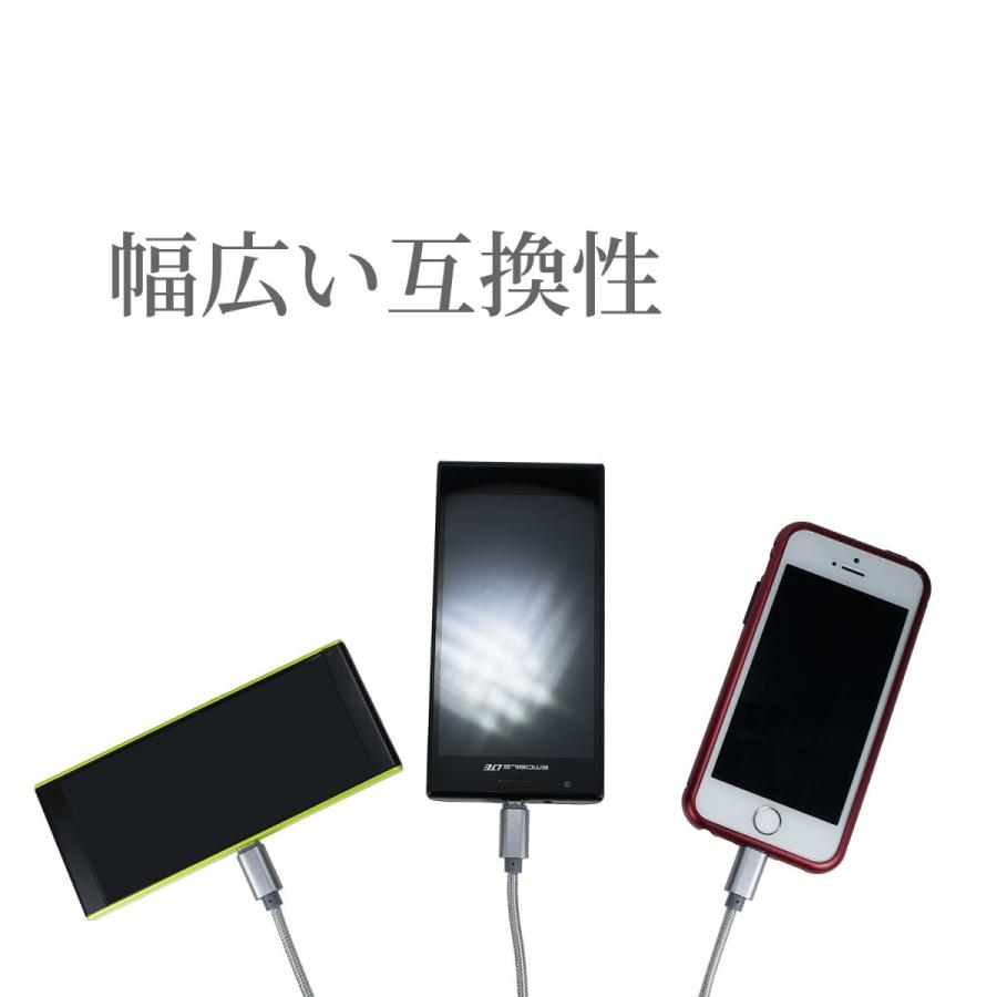 USBケーブル 3in1 充電ケーブル Type-C lightning micro USB 2本セット Android iPhone スマホ 携帯急速充電 グレー 充電コード 同時給電 タイプc マイクロusb｜eurokohaku｜03