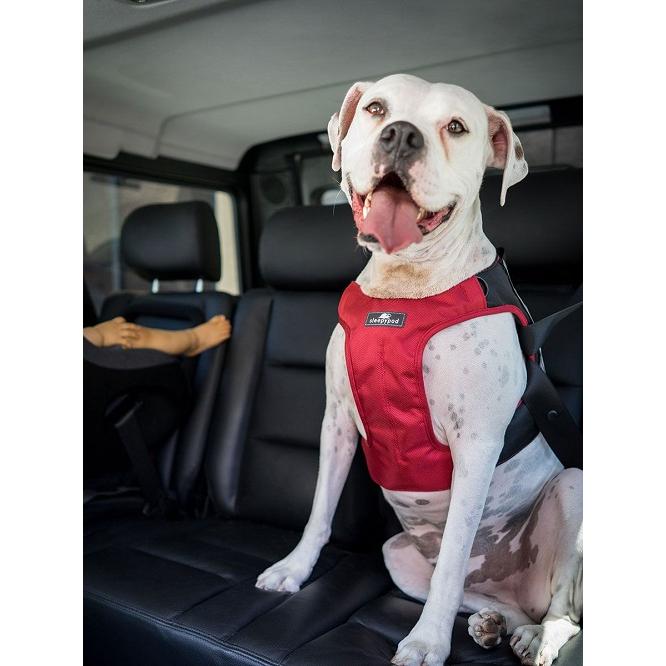 高知インター店 Sleepy Pod スリーピーポッド Clickit Terrain クリキットテレイン 色はジェットブラック ｍサイズ ペット 犬 ドライブ 絶対一番安い Atempletonphoto Com