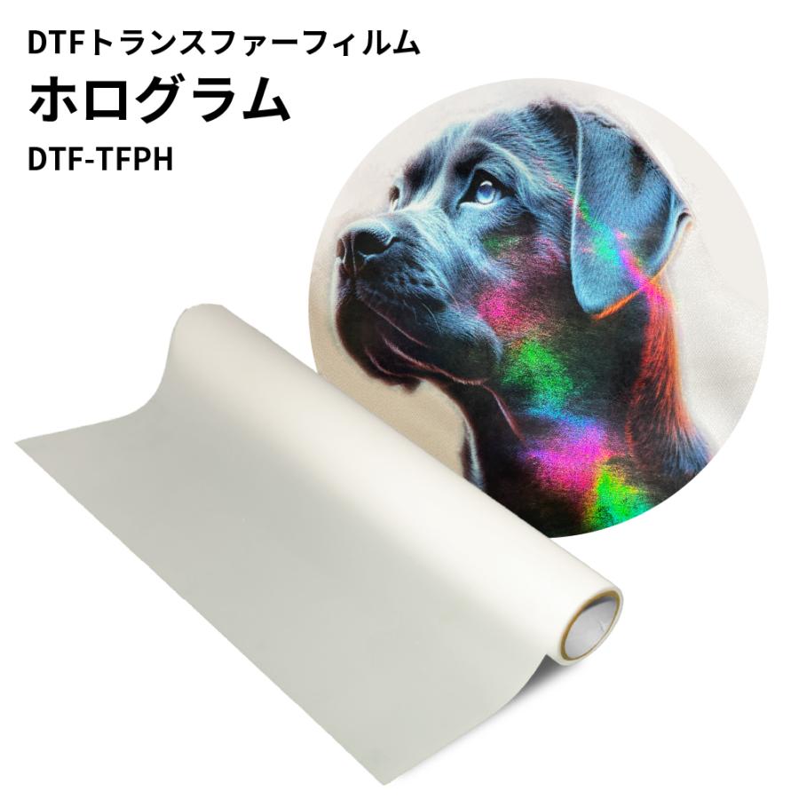 DTFトランスファーフィルム ホログラム 600mm×100mロール DTF-TFPH