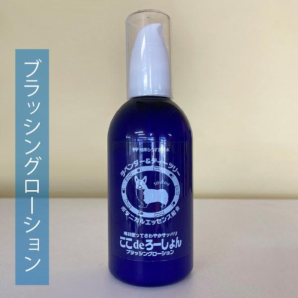 スキッパー・ここdeろ〜しょん | 