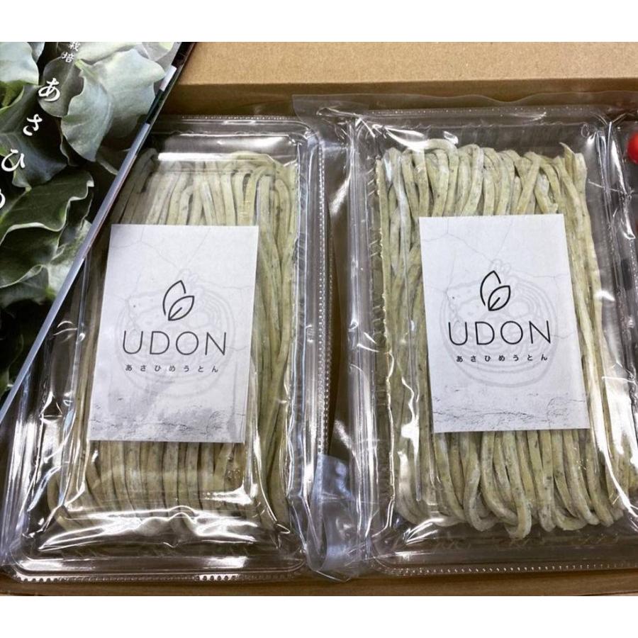 あさひめ生うどん10パック(30人前)【送料無料】(ジェノベソース5本入り) | 